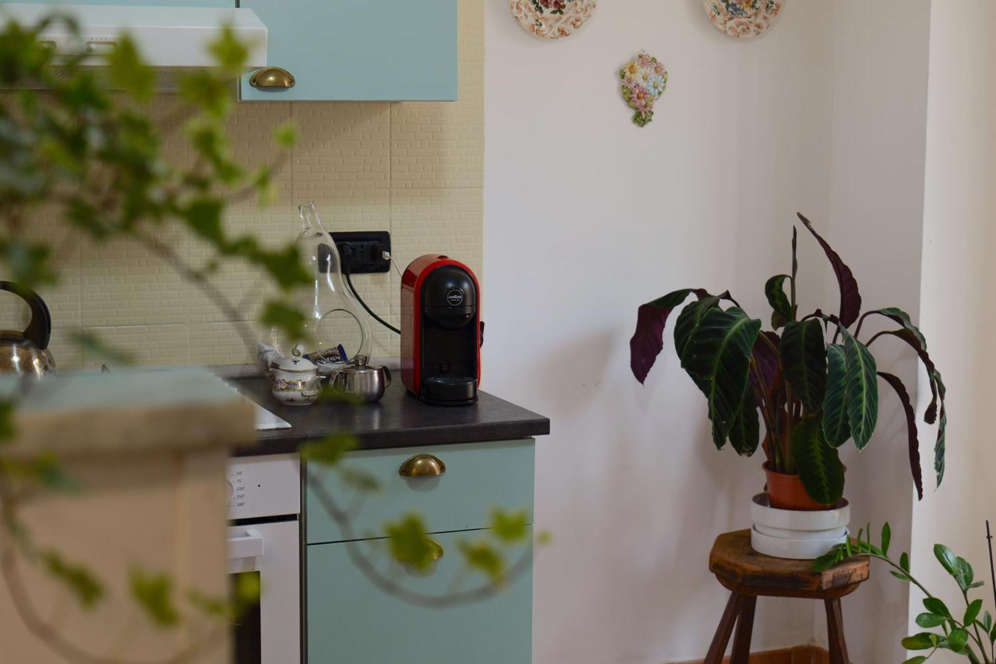 לינה וארוחת בוקר טורינו Coli'S House מראה חיצוני תמונה